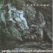 PERFECTION THROUGH DISFUNCTION - 7" ITALY