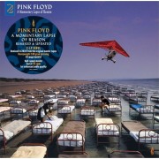 A MOMENTARY LAPSE OF REASON (REMIXED & UPDATED) - 2 X 180 GRAM