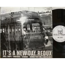 IT'S A NEW DAY REDUX - 12" USA
