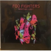 WASTING LIGHT - 2 LP